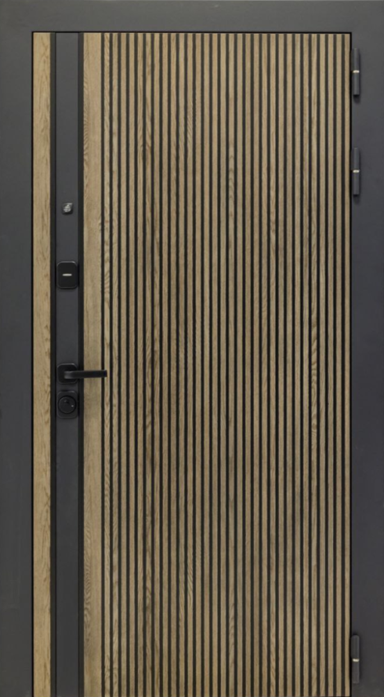 Входная дверь ДвериПРО Rosna ФЛ-256 (10мм, бетон снежный) DPRO196464 внешняя сторона